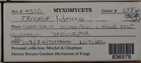 Image Associated With the Occurence